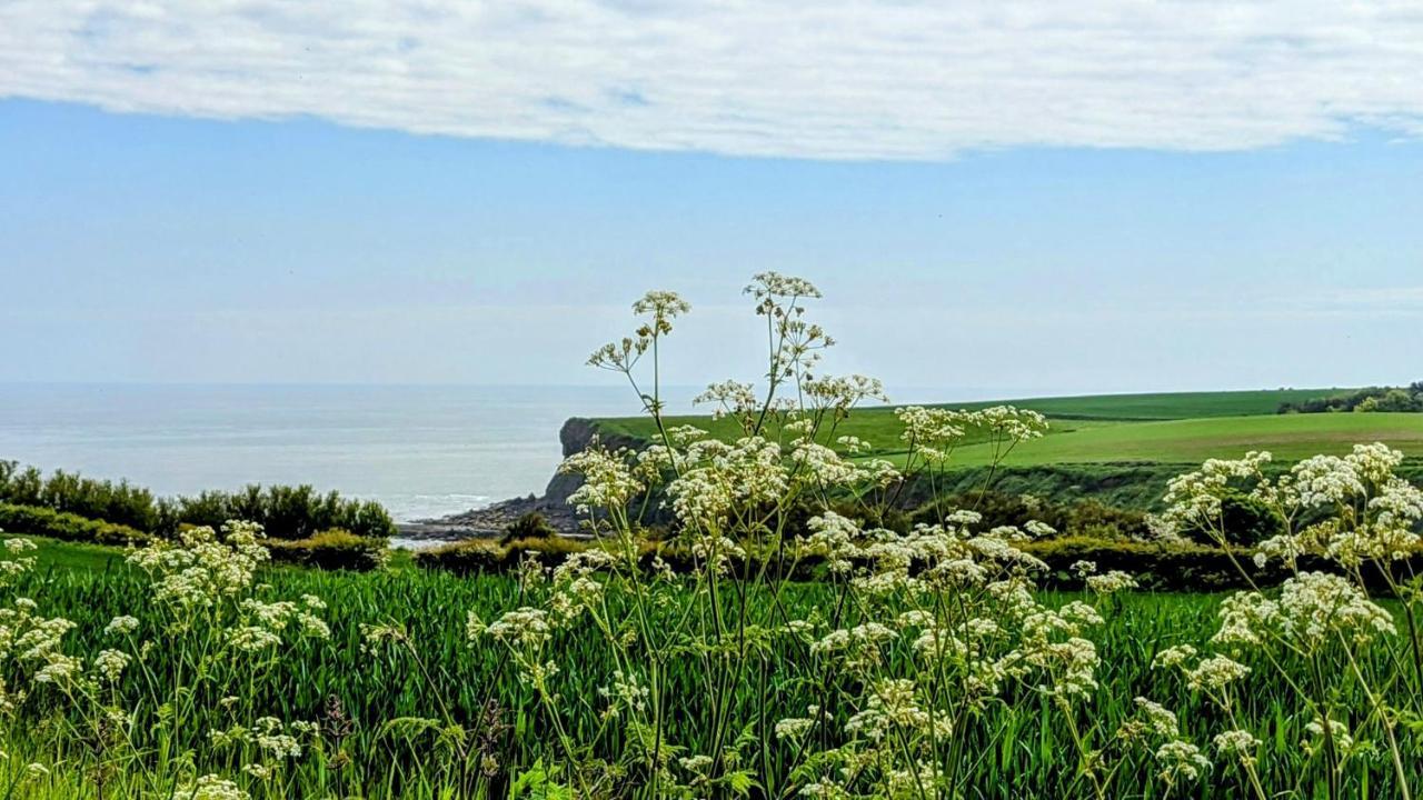 Cober Hill * Scarborough